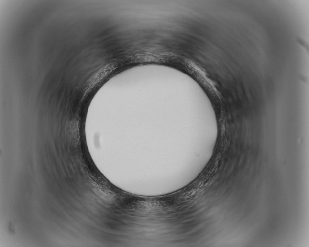 X0000096720250200803041407