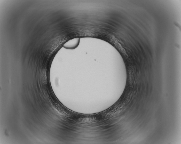 X0000096720251200803041407