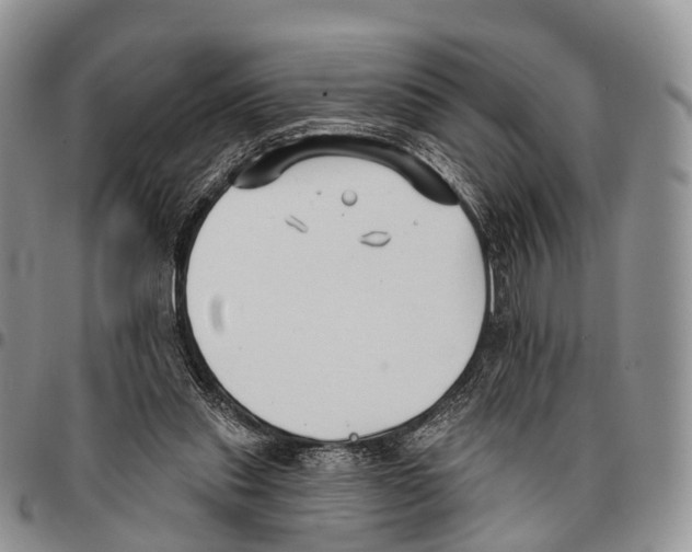 X0000096720253200803041407