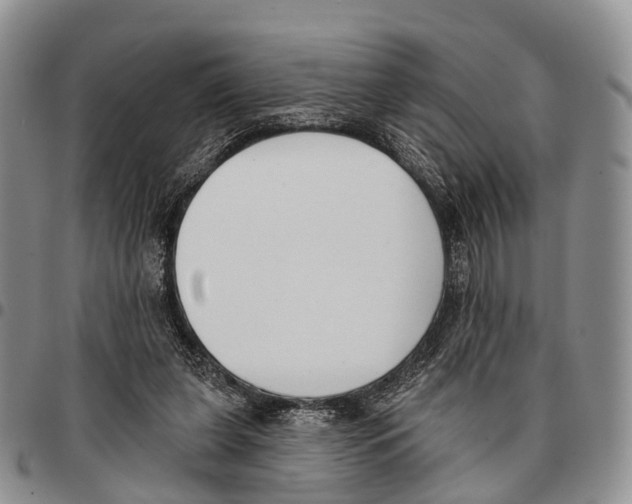 X0000096720255200803041408