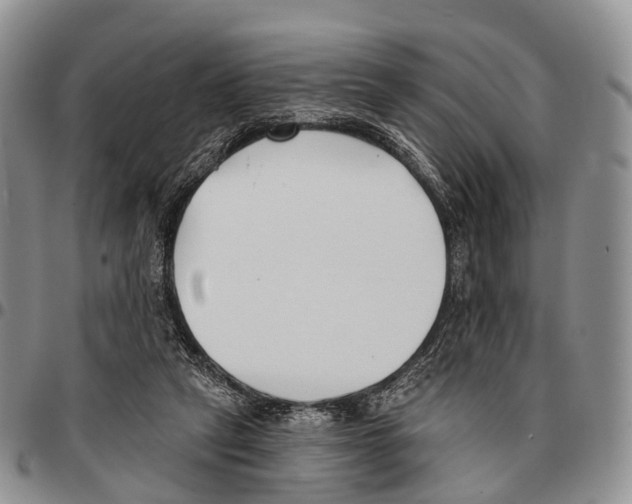 X0000096720257200803041408