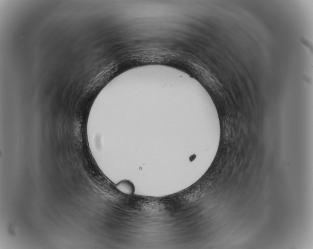 X0000096720258200803041408