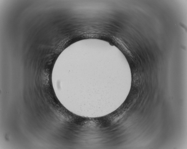 X0000096720259200803041408