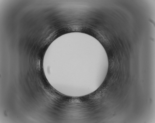 X0000096720262200803041408