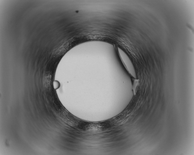 X0000096720263200803041408