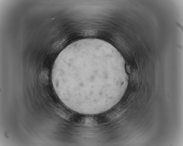 X0000096720264200803041408