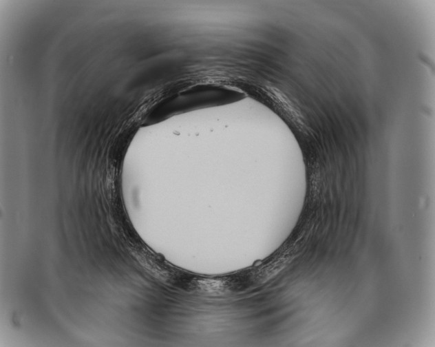 X0000096720265200803041408