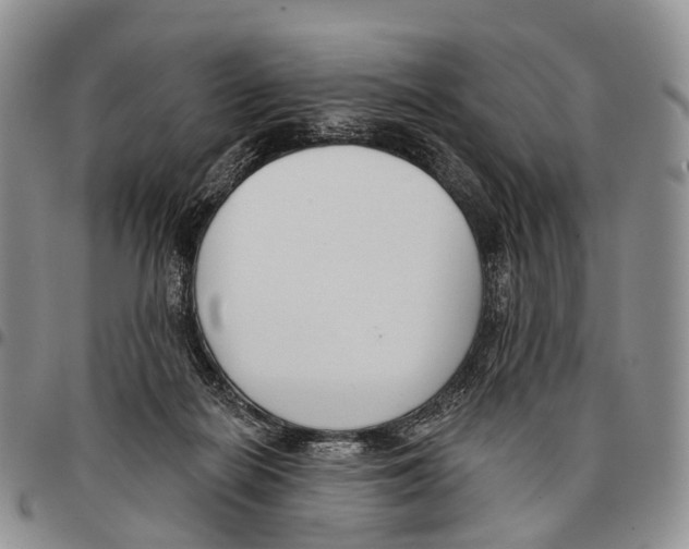 X0000096720266200803041408