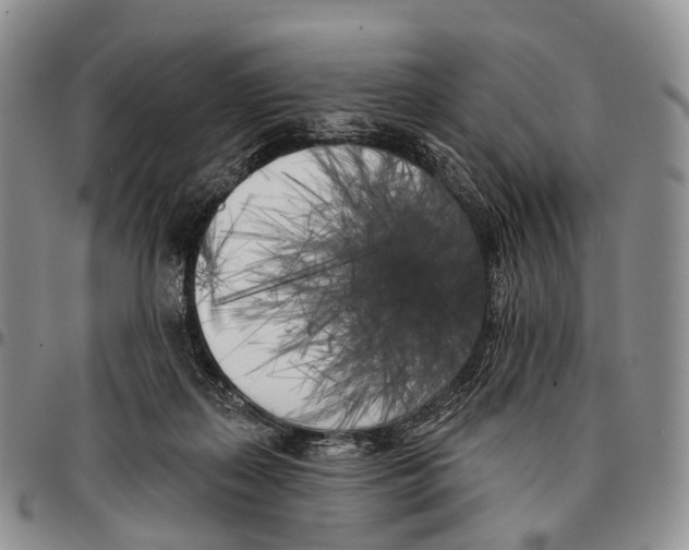 X0000096720267200803041408