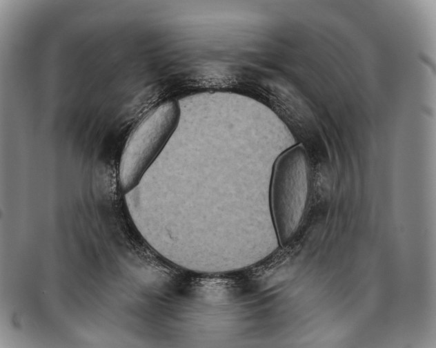 X0000096720268200803041408