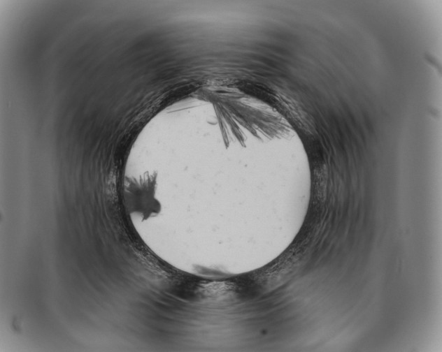 X0000096720269200803041408