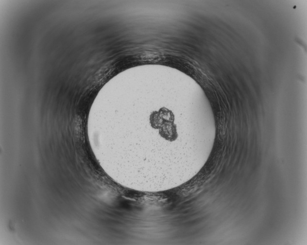 X0000096720270200803041408