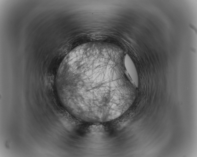 X0000096720271200803041408