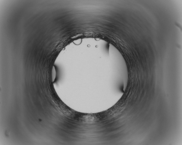 X0000096720272200803041408