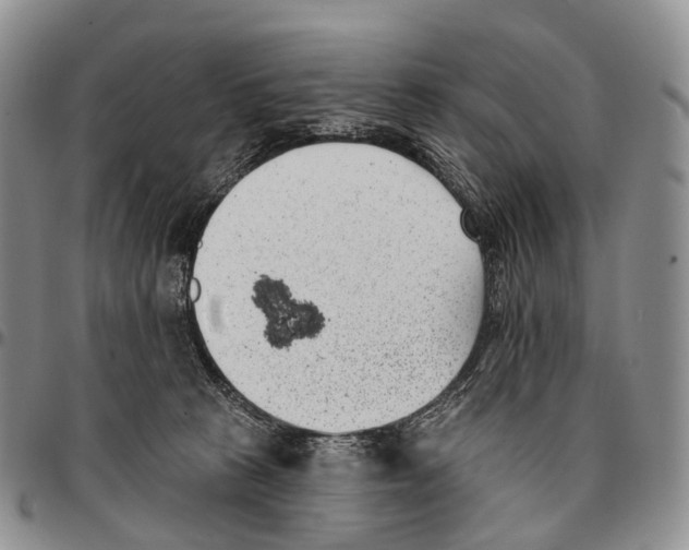 X0000096720273200803041408