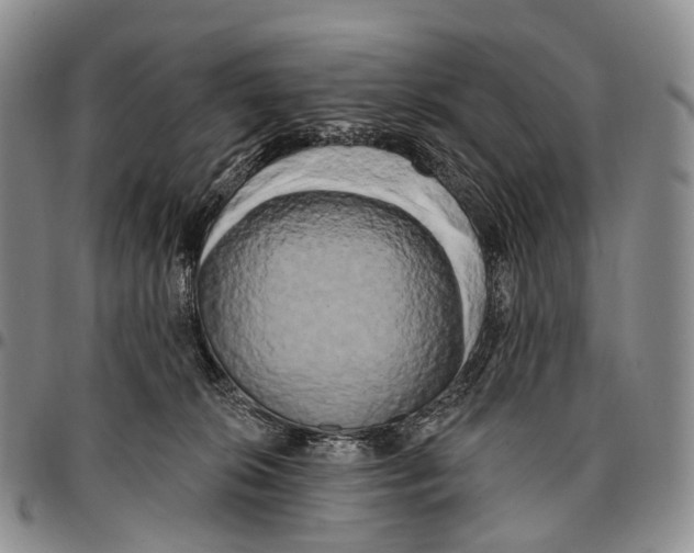 X0000096720276200803041408