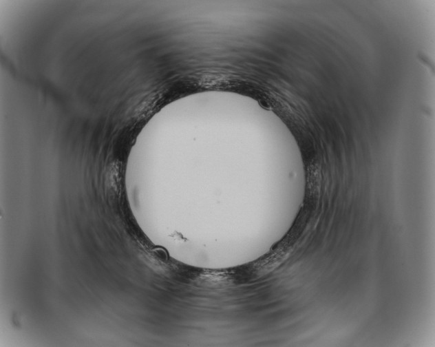 X0000096720280200803041408