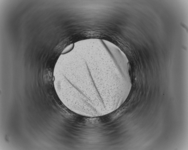 X0000096720281200803041408