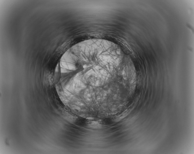 X0000096720285200803041408