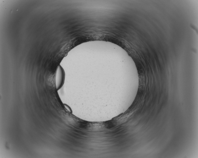 X0000096720286200803041408