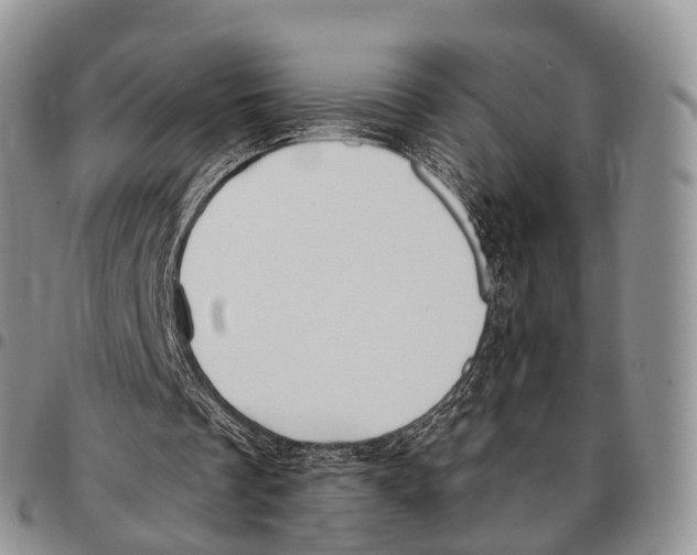 X0000096720289200803041407