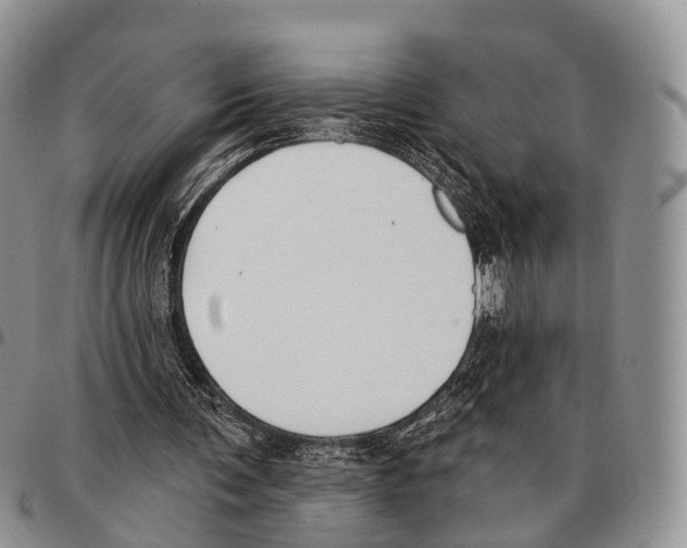 X0000096720291200803041407