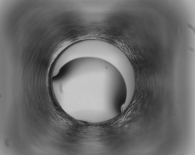 X0000096720292200803041407