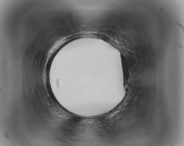 X0000096720294200803041407