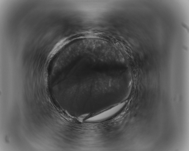 X0000096720295200803041407