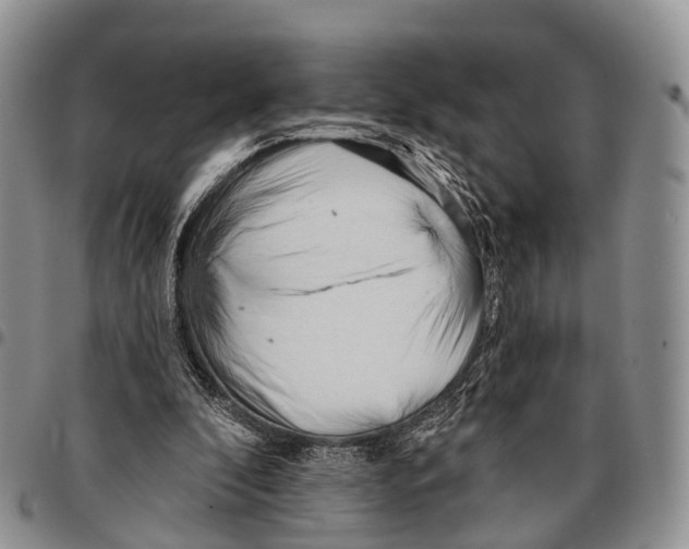 X0000096720296200803041407