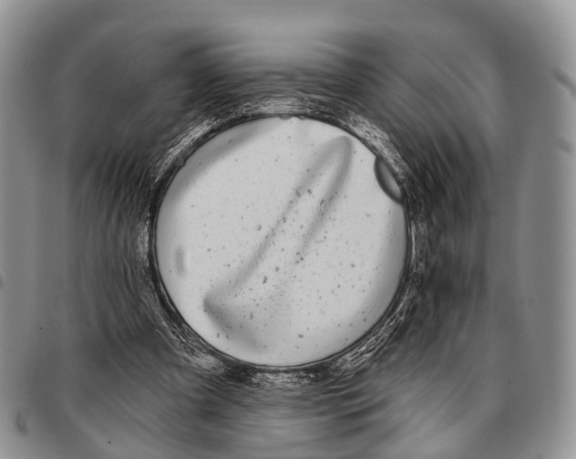 X0000096720297200803041407