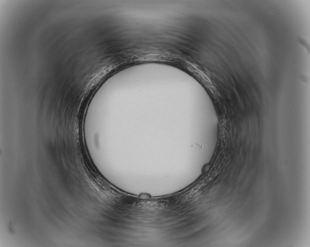 X0000096720298200803041407