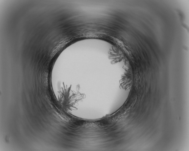 X0000096720299200803041407