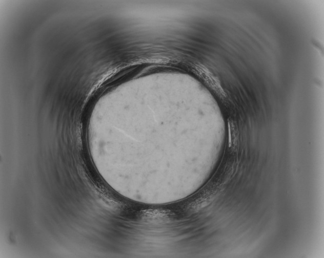 X0000096720300200803041407