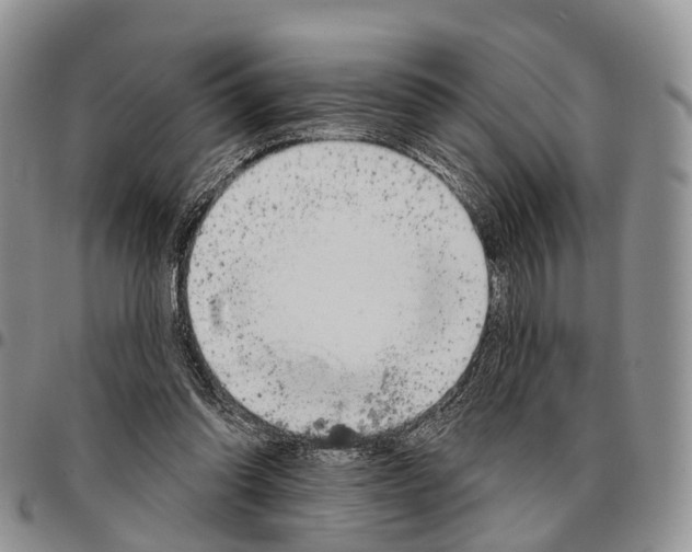 X0000096720302200803041407