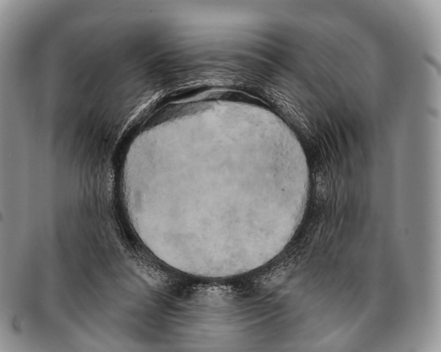 X0000096720304200803041407