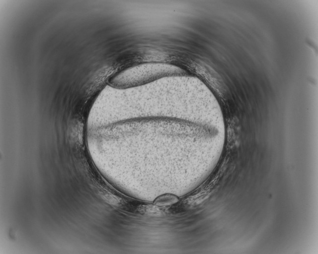 X0000096720305200803041407