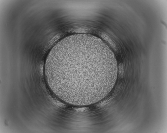 X0000096720309200803041407