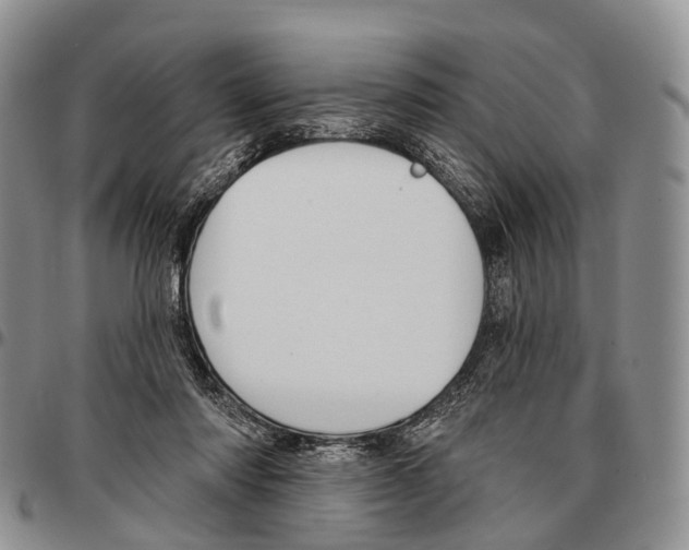 X0000096720310200803041407