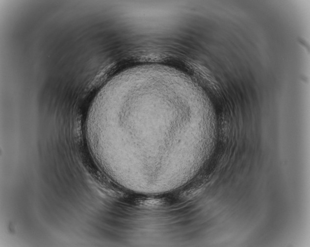 X0000096720312200803041407