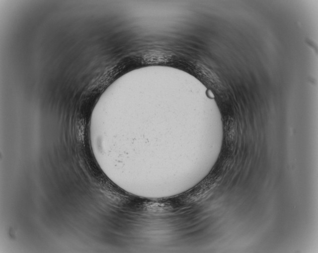 X0000096720315200803041407