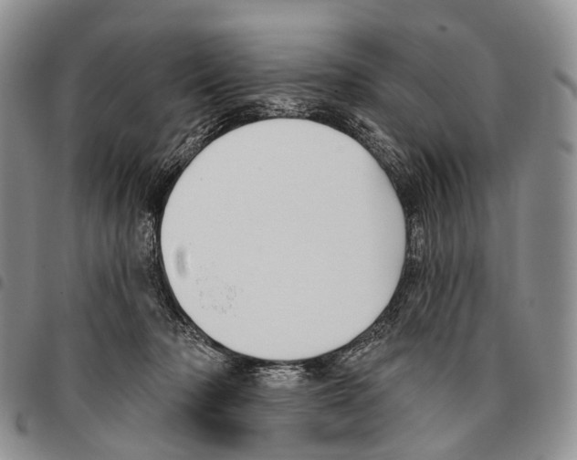 X0000096720318200803041407