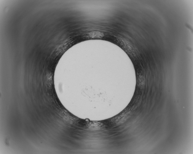 X0000096720321200803041407