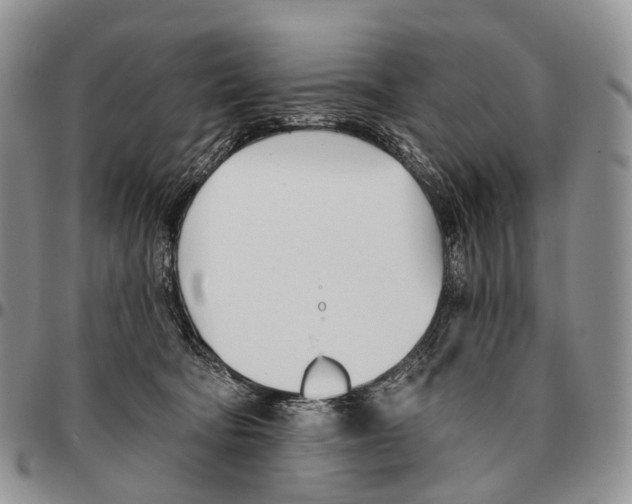 X0000096720322200803041407