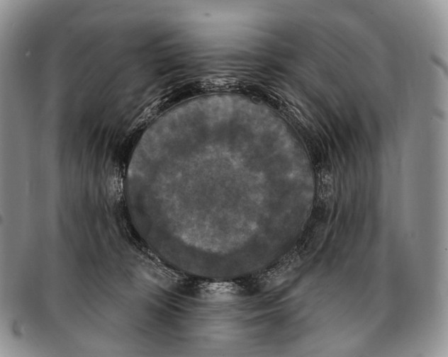 X0000096720324200803041407