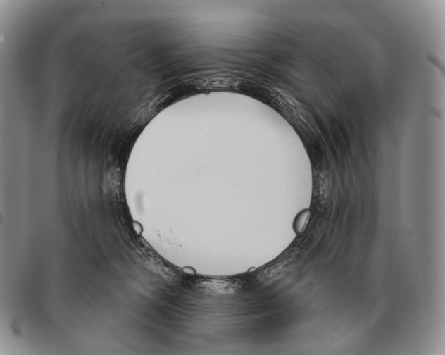 X0000096720326200803041407