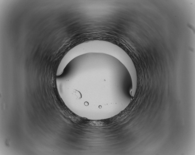 X0000096720328200803041407