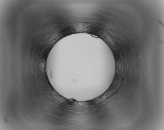 X0000096720329200803041407