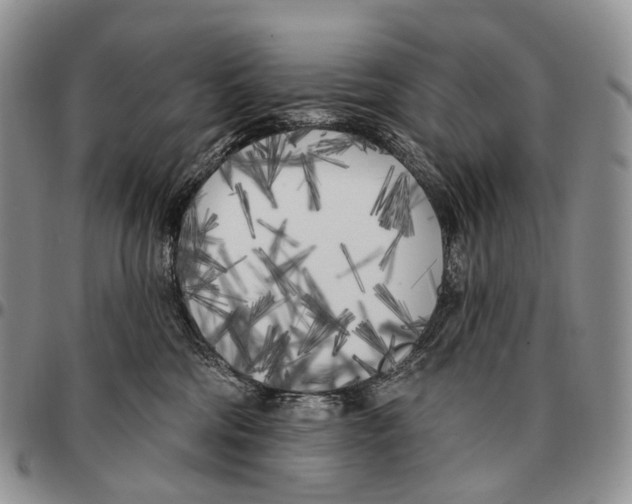 X0000096720330200803041407