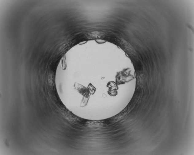 X0000096720331200803041407